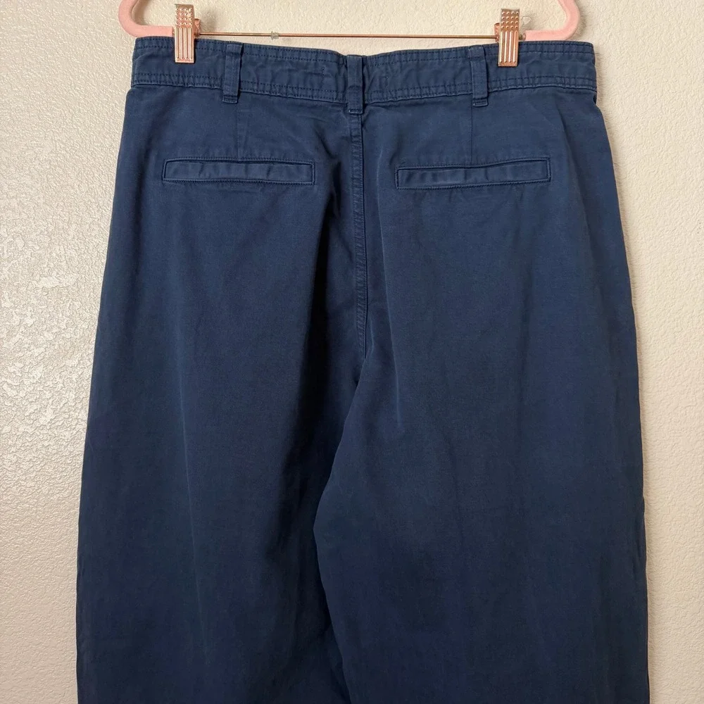 Everlane Pants Womens 12 Everywhere Barrel Pleated Chino Organic Cotton Linen